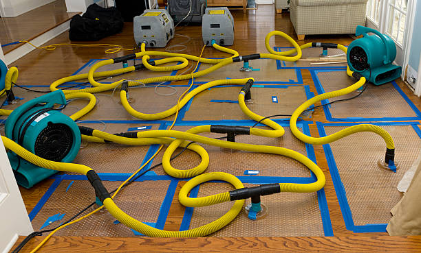 Professional Flood Damage Restoration technician working in Branson, MO